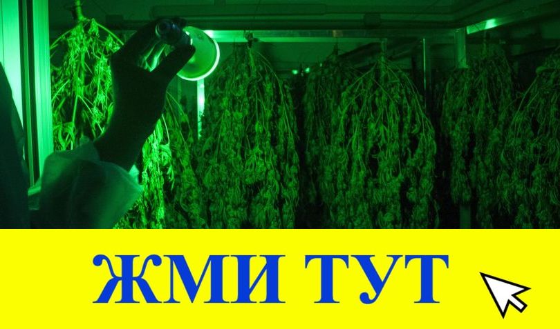 Купить наркотики в Нефтекумске